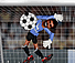 Ragdoll Goalkeeper